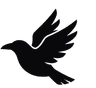 CrowFind Icon